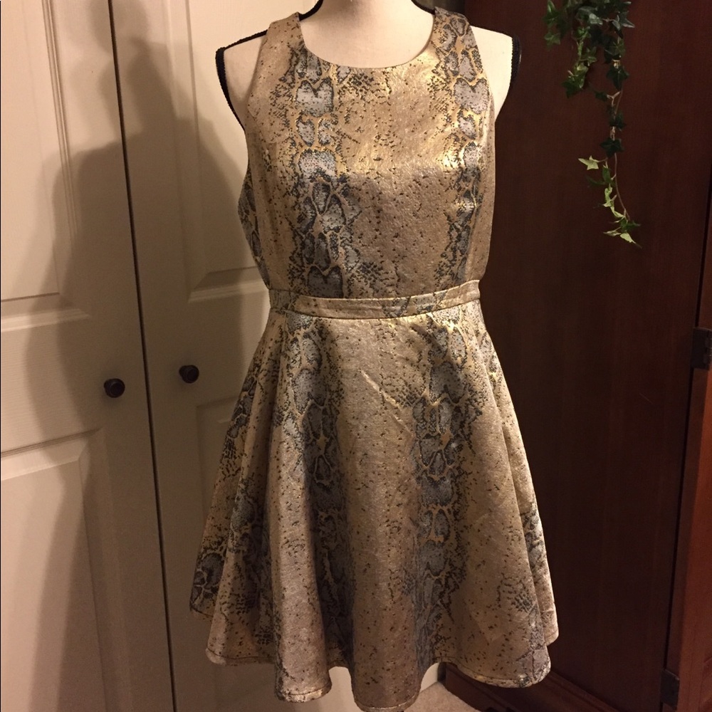 Very cute dress. Size large NWOT